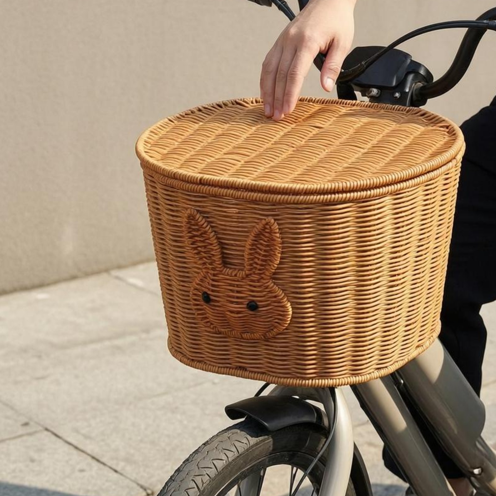 Rear Bike Basket with Lid Rear - Cycling Gear Rack のレビューと価格