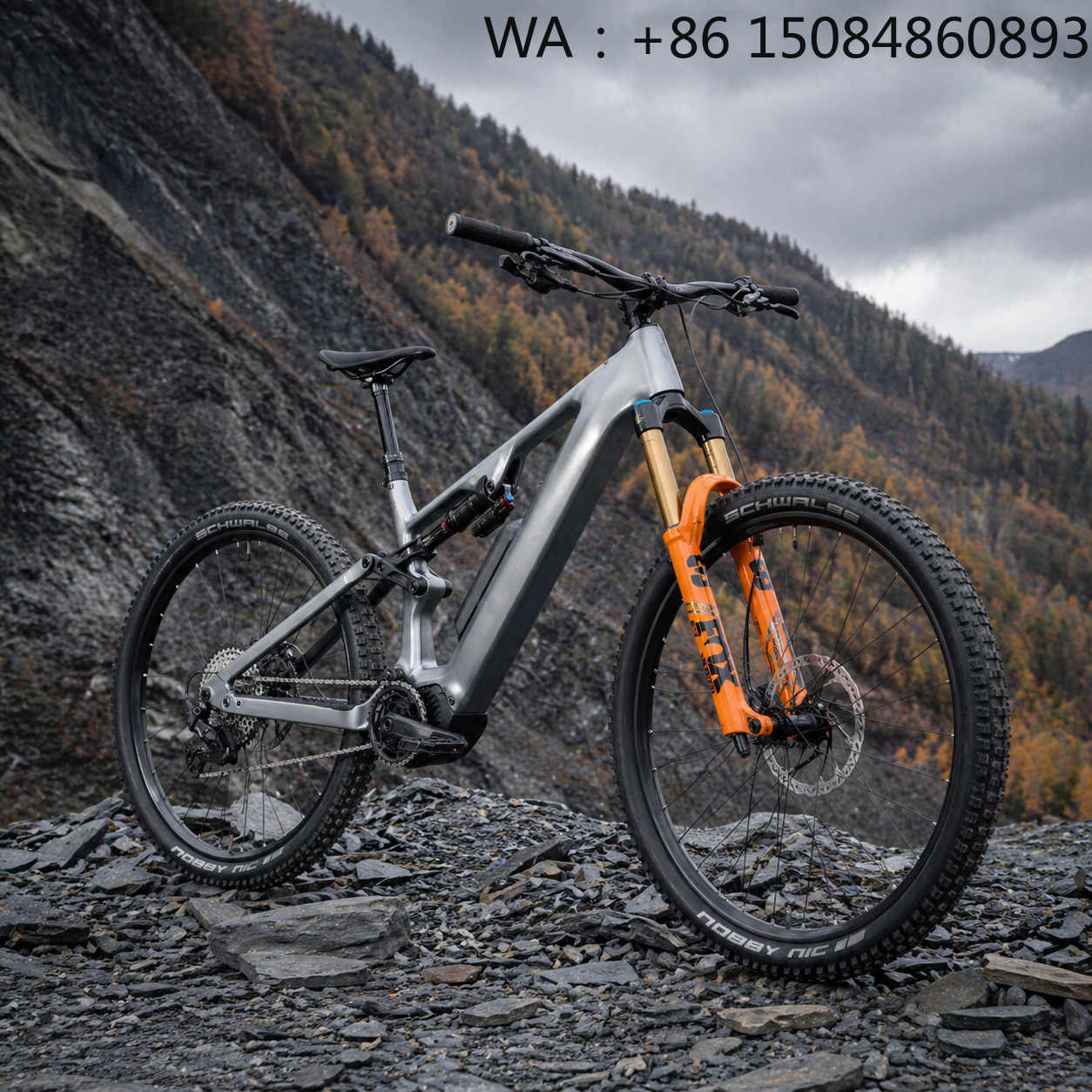 29 Inch Lightweight EMTB, Carb - Carbon Bike Frame のレビューと価格
